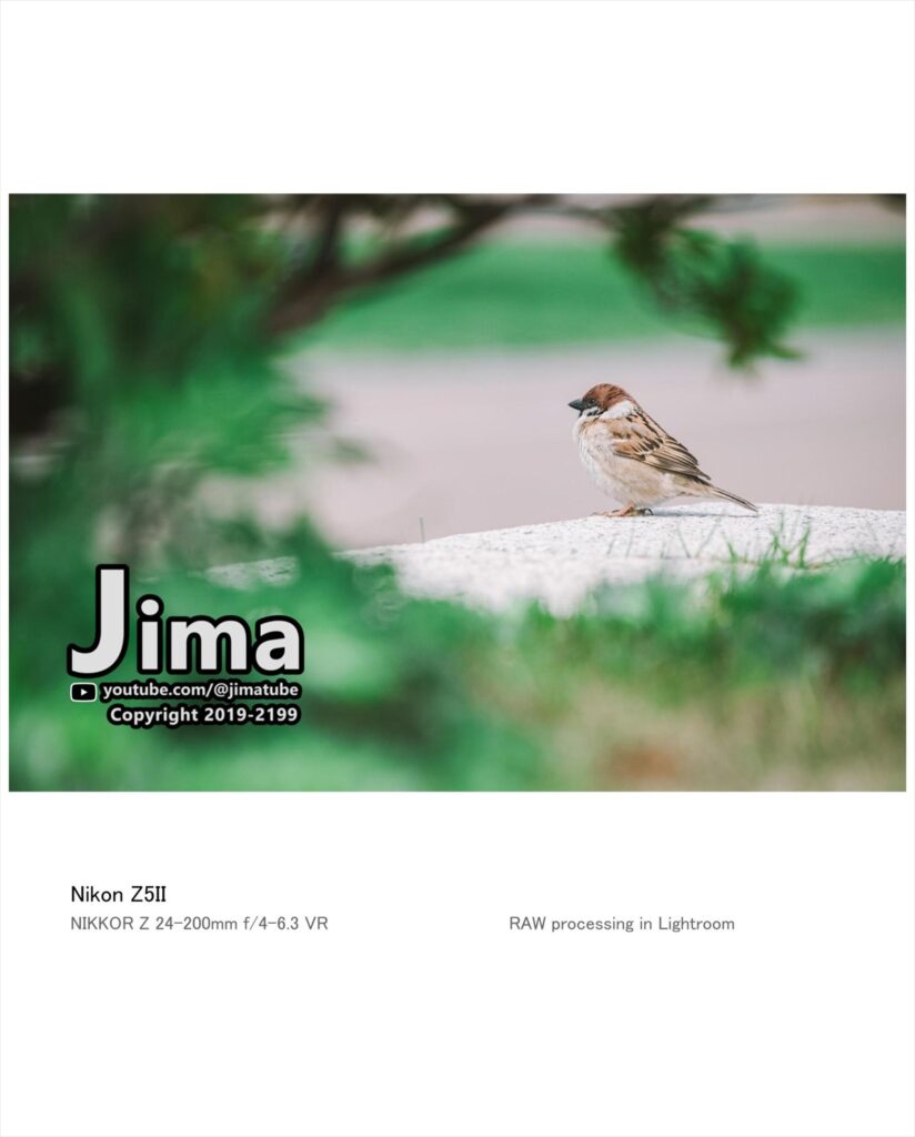 Z5II｜NIKKOR Z 24-200mm f/4-6.3 VR