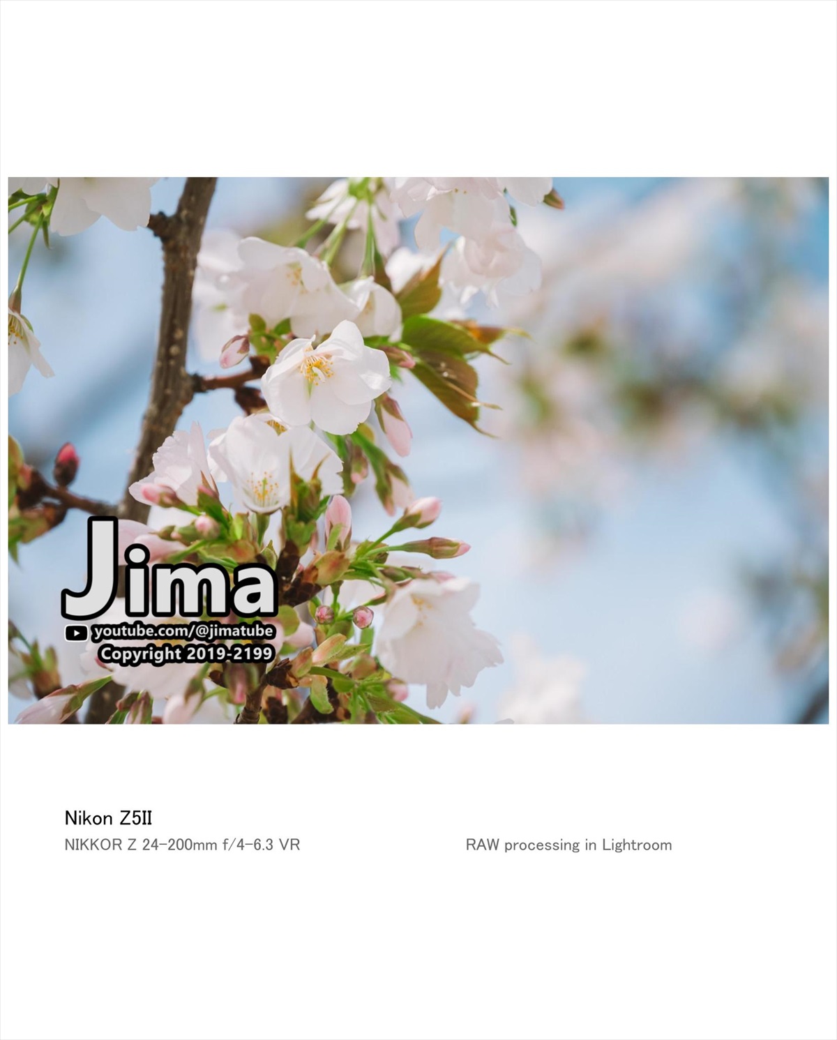 Z5II｜NIKKOR Z 24-200mm f/4-6.3 VR