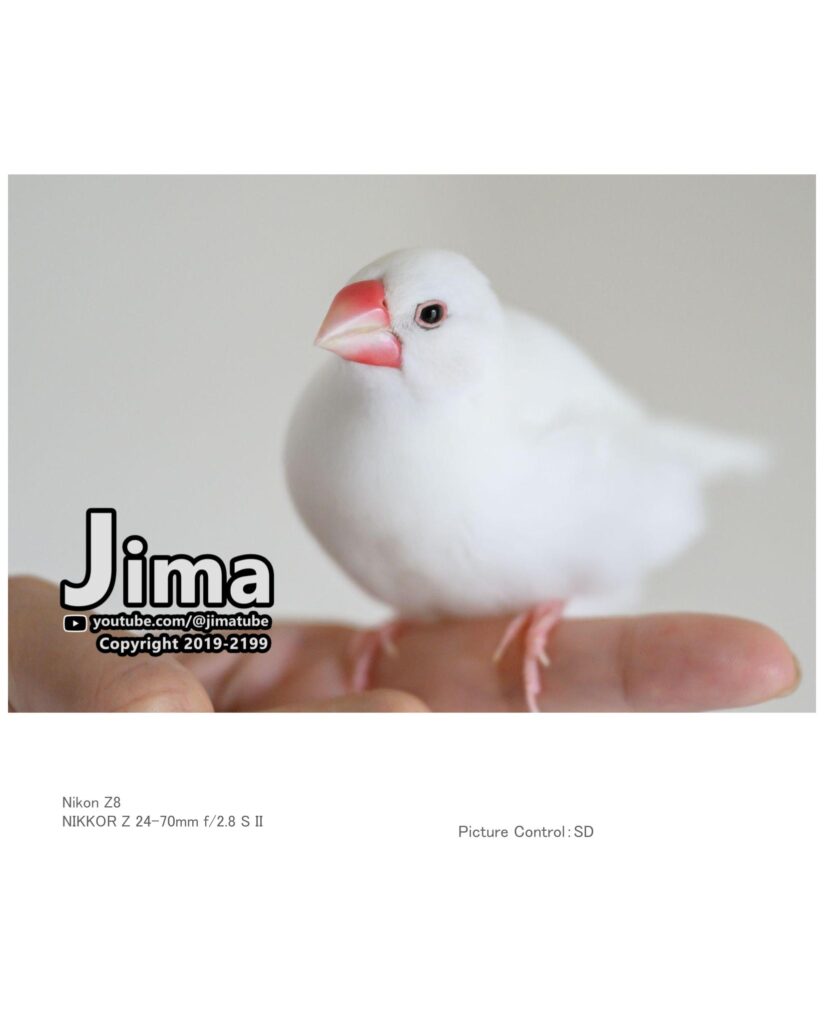 NIKKOR Z 24-70mm f2.8 S II