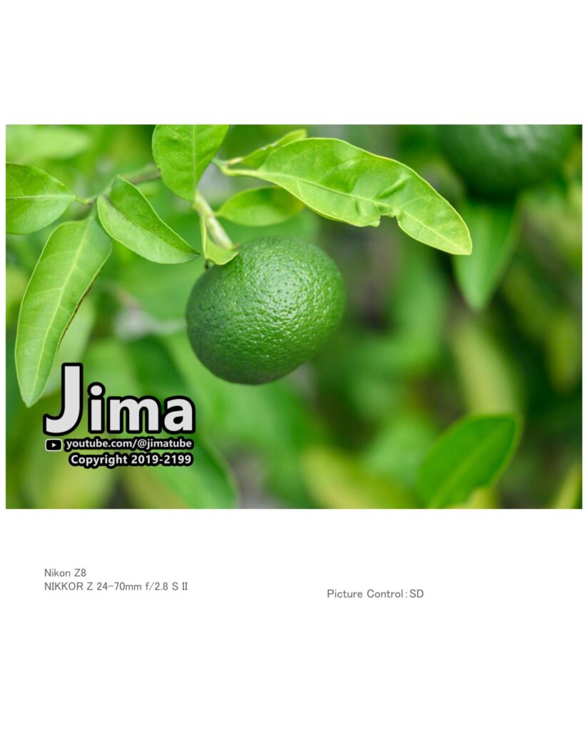 NIKKOR Z 24-70mm f2.8 S II